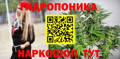 a pvp Аргун